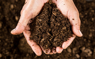 こだわりの土づくり