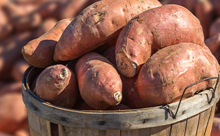 産地直送だからこそ新鮮