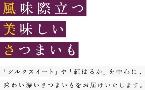 風味際立つ美味しいさつまいも 「シルクスイート」や「紅はるか」を中心に、味わい深いさつまいもをお届けいたします。